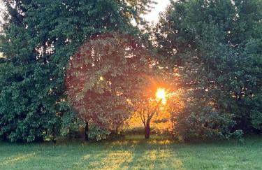 Apartament w XIX-wiecznym Spichlerzu nad Jeziorem z dostępem do parku i widokiem na Dworek Modrzewiowy z 1823 roku - Foto 51