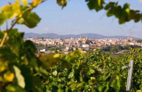 Casa Museo RAKKANA - En el Centro de Requena - Foto 49