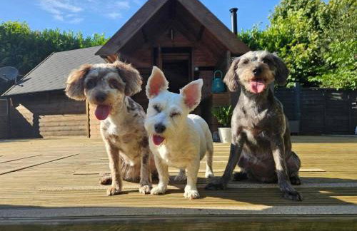 The Hive - Unique log cabin with wood burning stove - Foto 4