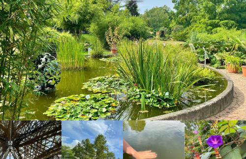 Familien-Appartement Schwarzwald bei Freiburg mit bis zu 4 Schlafzimmern - Foto 24