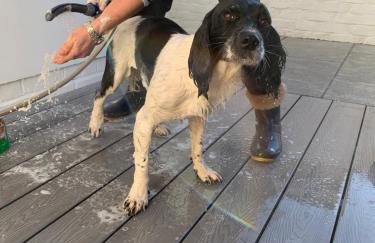 Griff Cottage, Skinningrove - Foto 19