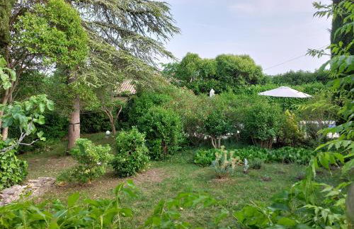 Rêve de Provence Villa avec jardin et piscine - Foto 48