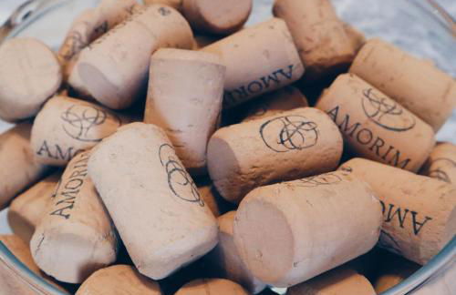 Casas da Olaria - Foto 41