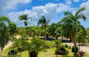 Fazenda Góes - Foto 16