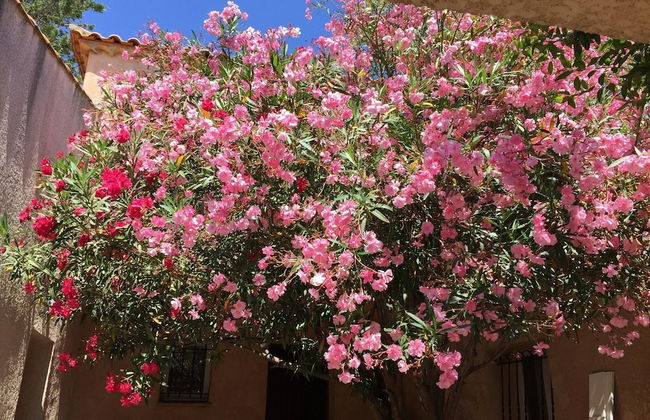 Charming Holiday Home With Swimming Pool - Foto 15