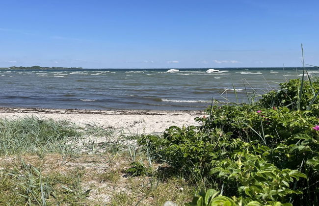 "Ely" - 300m from the sea - Foto 6