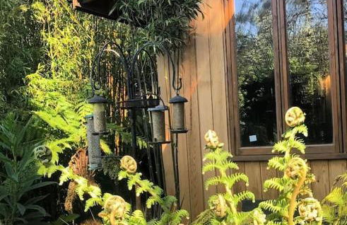 Jungle Cabin - Foto 33