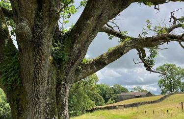 Ashdene Cottage with secure 'sun trap' garden - Foto 24