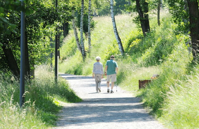 Holiday Home in Vielsalm With Lake View - Foto 31