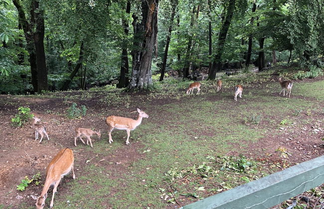 Stunning, Contemporary 1 Bedroom En-suite Annexe - Foto 19