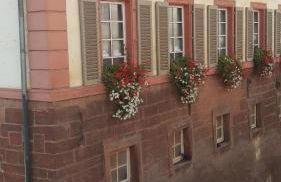 Familiehuis Dolve - Foto 119