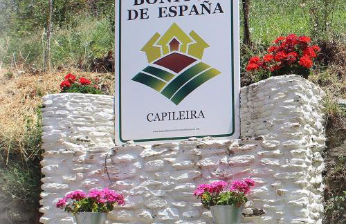 Capileira Luz de Sierra - Foto 17