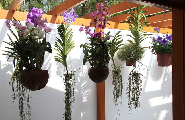 De Chom Villa - Foto 36