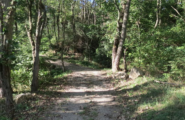 Zion Retreat & RV Park - Foto 18