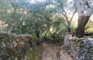 Casa Rural El Olivo - Foto 60