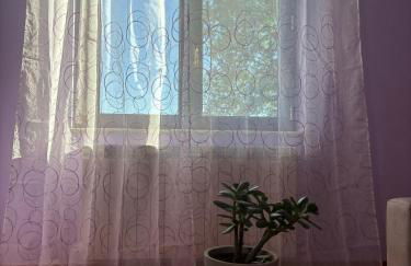 Casale dei Gelsomini - Country House - Foto 24