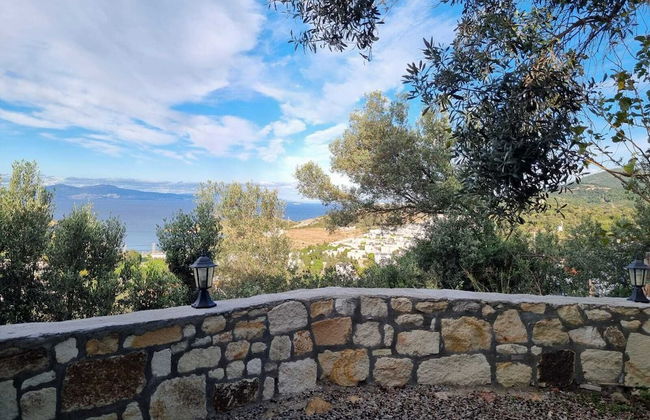 Sole Foca ( Ages 12+ ) - Foto 53