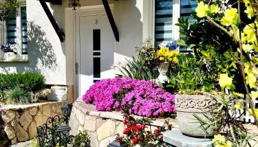 Apartments Dajčić - Foto 3