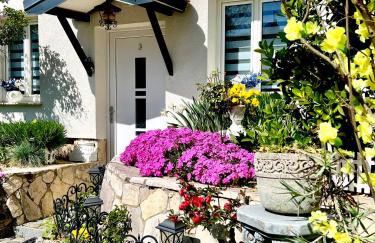 Apartments Dajčić - Foto 5