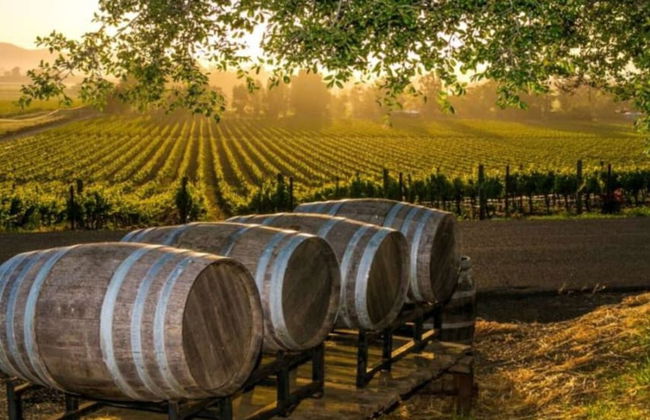 Villa Elaionas 1 - Foto 47