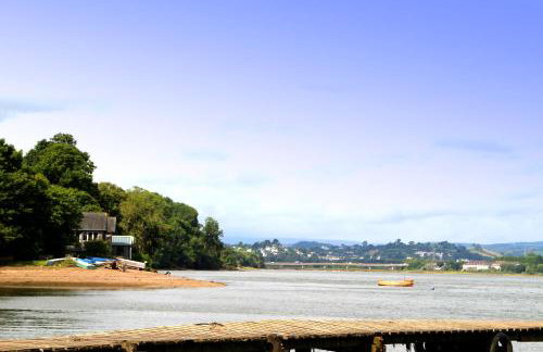 The Nest - Thatched seaside country cottage for two - Foto 62