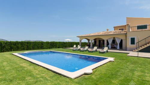 Mussol - Foto 4, Other