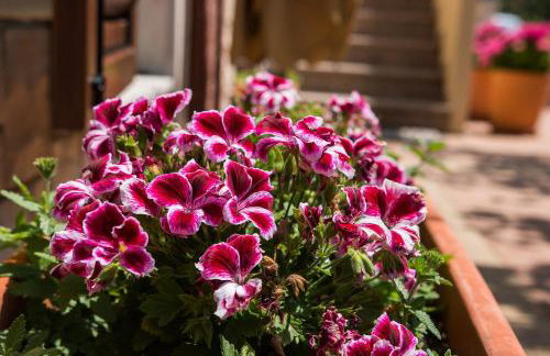 Apartments Eva - Photo 70