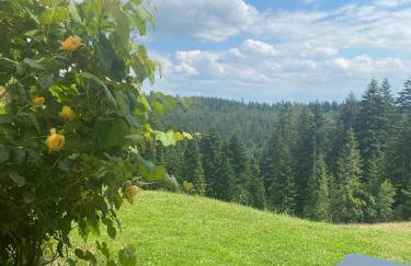 Apartament w górach Gorce - Foto 16