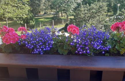 Ferienwohnung Ankert - Foto 14