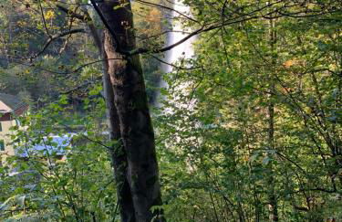 Frankenwald Ferienhaus FourStars am See in Lichtenberg, Bayern, Oberfranken, Bad Steben - Hof -Saale, Rennsteig - Foto 58