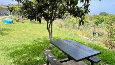 Captain Christos House - Foto 2, Garden