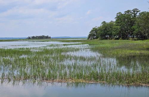 Low Country Cottage in Beautiful Habersham - Photo 25