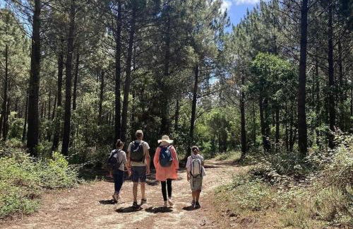 les resiniers - Foto 22