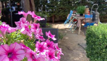 Kanela, charming home in central Amaliada - Foto 3