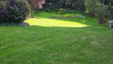 studio bellevue - Foto 3