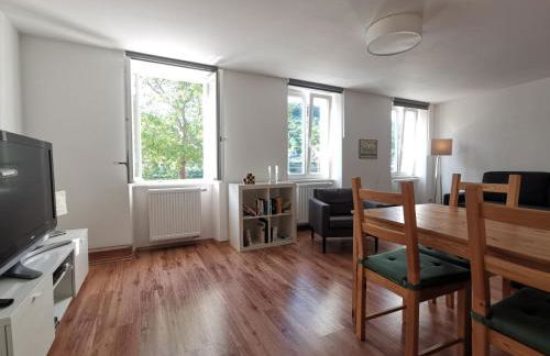 Ferienwohnungen Neckarblick - Heidelberg Altstadt - Foto 1