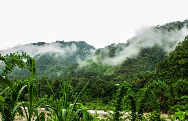Tour della valle di Chanchamayo - Foto 1
