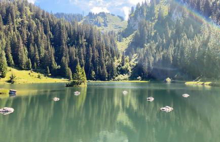 La Joly - ChaletYap - Photo 35