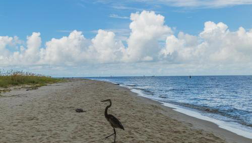 Poseidon Palace - Foto 4