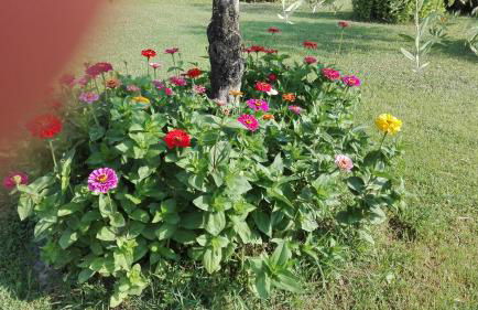 Tenuta del Perugino - Foto 54