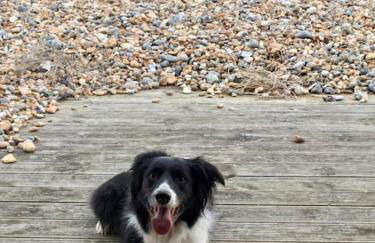 Central Worthing, 3 bedrooms, 600m from beach - Foto 17