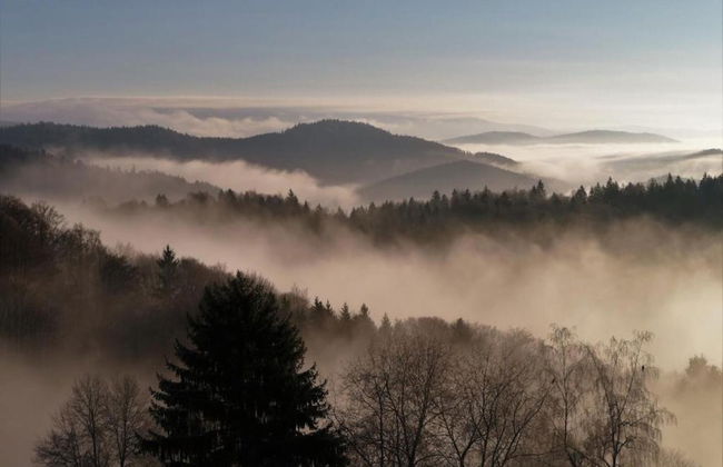 Appartement Sandra im Bayerischen Wald mit Pool - Foto 37