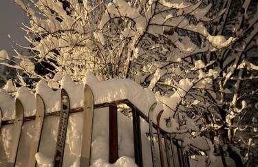 Cosy, luxury apt in quiet hamlet, four stars - Photo 32