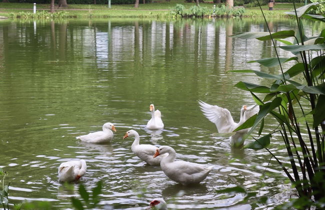 Spacious and Modern Service Apartment in Hochiminh - Foto 24