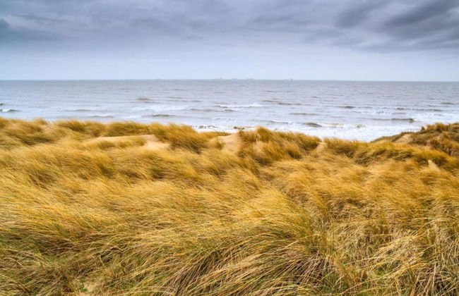 Villa in Kijkduin Near North Sea Beach - Foto 41