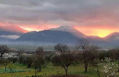 B&B Home Holiday Villa delle Acacie agriturismo - Foto 3