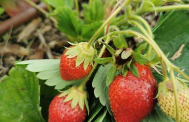 La grange de Pierrot - Foto 20