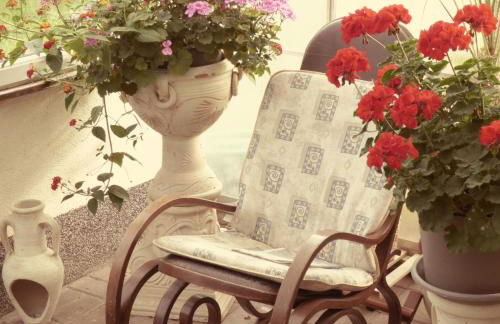 Fewo Rügen Böttger - Foto 16