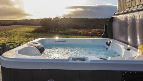 Red Squirrel - Foto 3