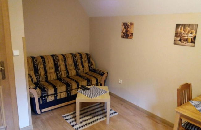 1 bedroom Apartment in Harrachov with garden - Photo 8